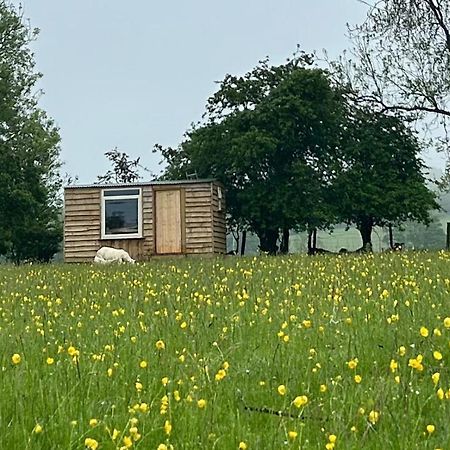 Llansilin Off Grid Shepherds Hut酒店 外观 照片
