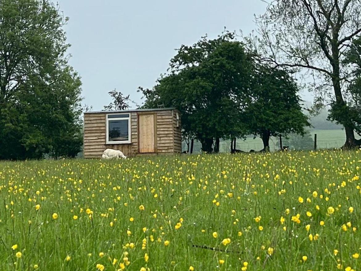 Llansilin Off Grid Shepherds Hut酒店 外观 照片