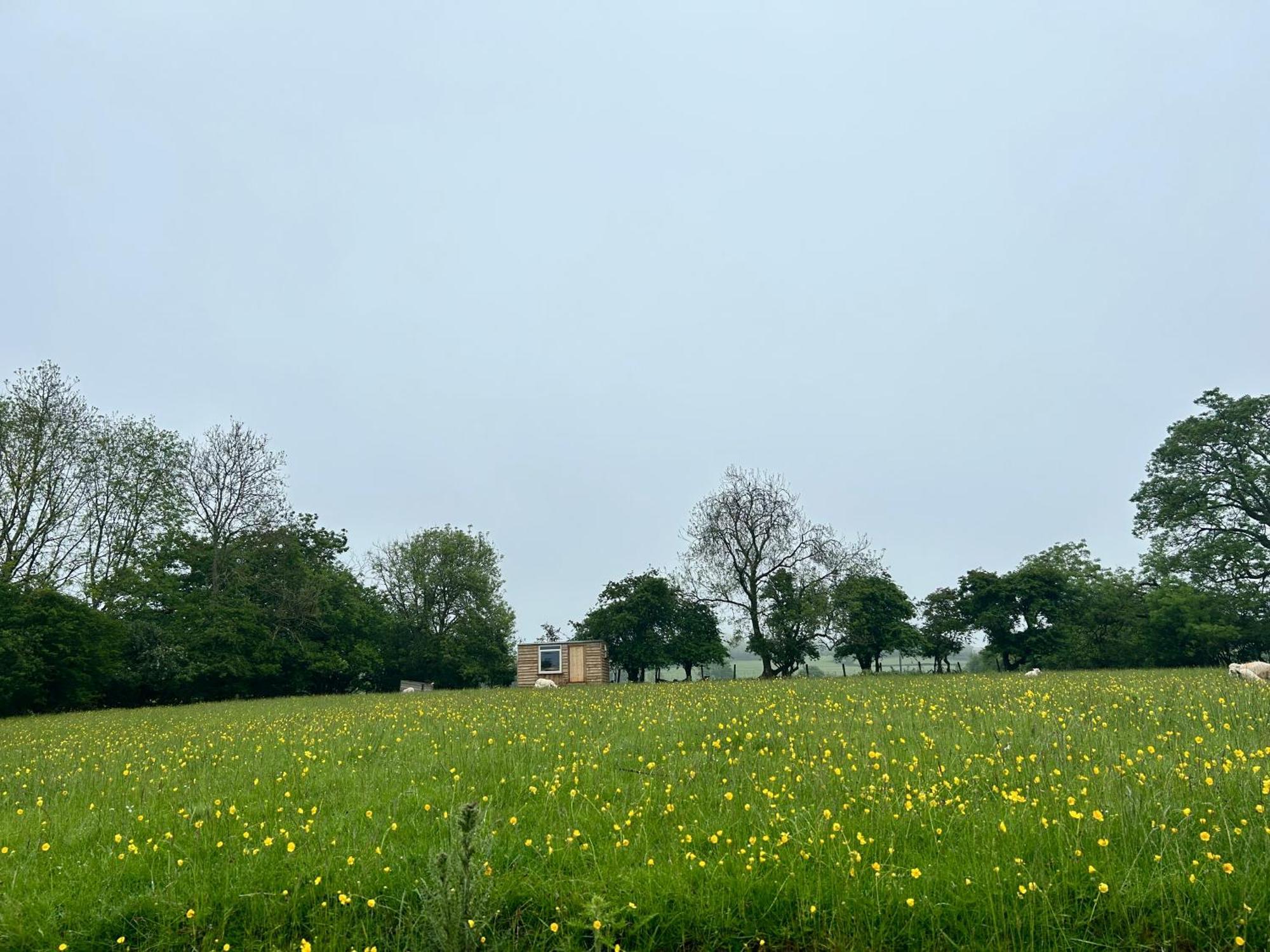 Llansilin Off Grid Shepherds Hut酒店 外观 照片